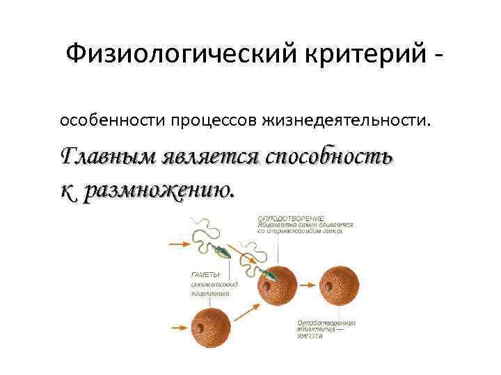 Физиологический критерий - особенности процессов жизнедеятельности. Главным является способность к размножению. 