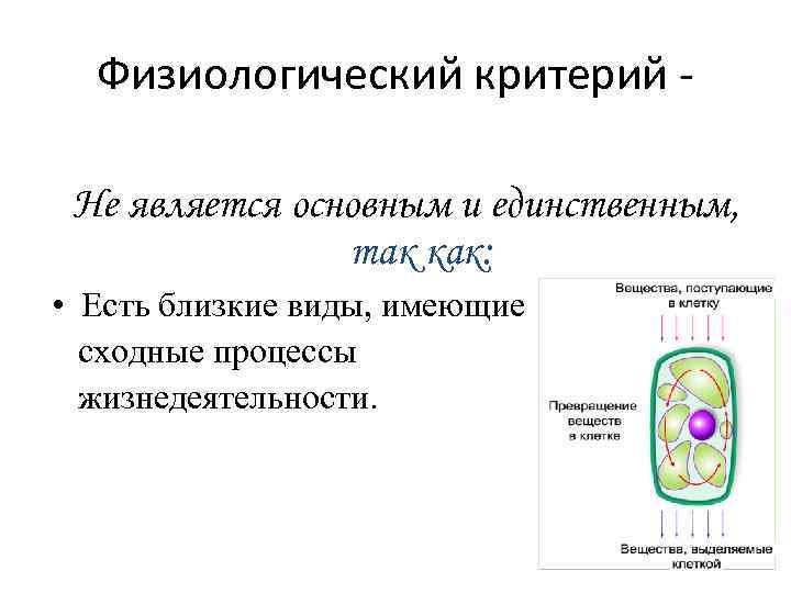 Физиологический критерий. Физиологический критерий лягушки. Физиологический критерий растений. Физиологический критерий исключения. Физиологическим критерием вида является.