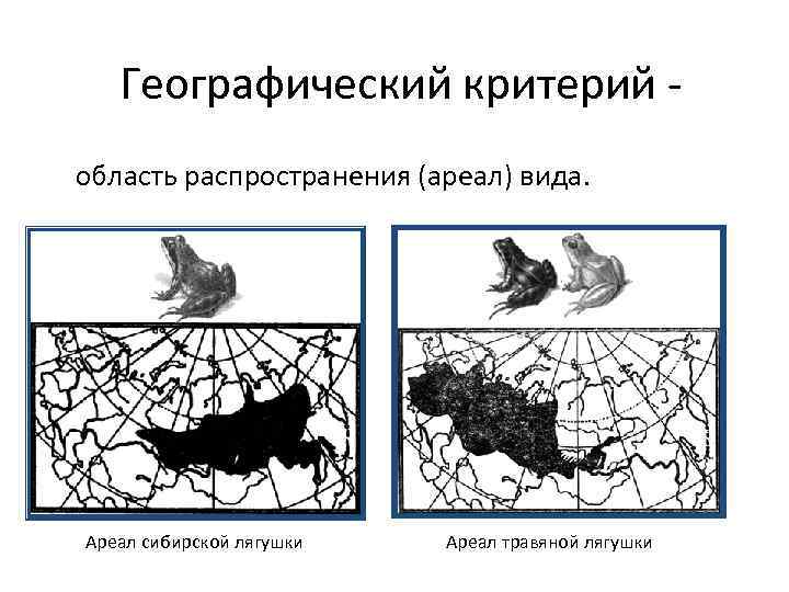 Типы ареалов схема