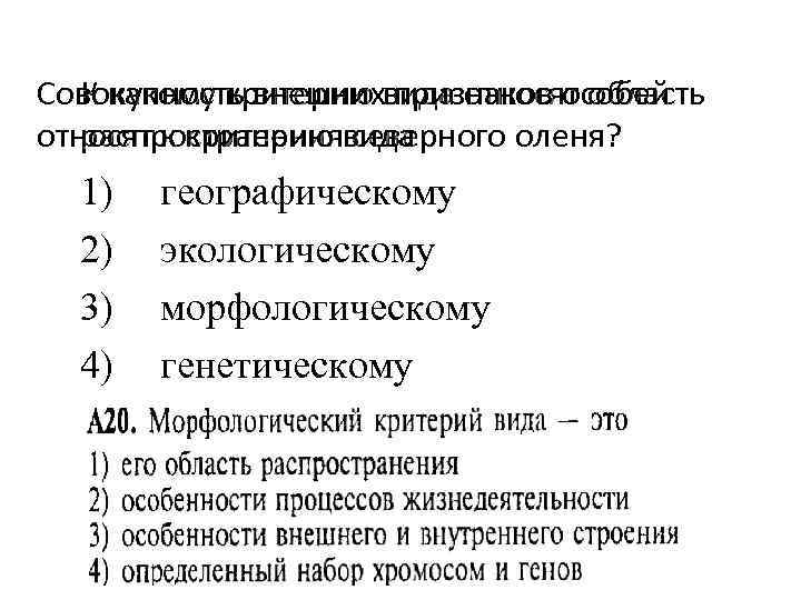 Совокупность внешних. Совокупность внешних признаков особей относят к критерию вида. Морфологический и экологический. К какому критерию относится питание. Особенности хромосомного набора Тип критерия.