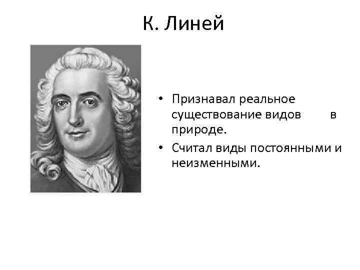 К. Линей • Признавал реальное существование видов в природе. • Считал виды постоянными и