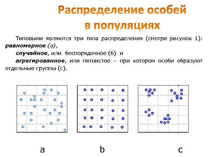 Тип пространственного распределения особей популяции представленный на рисунке характеризуется как