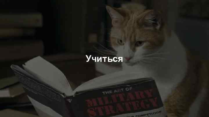 Учиться 