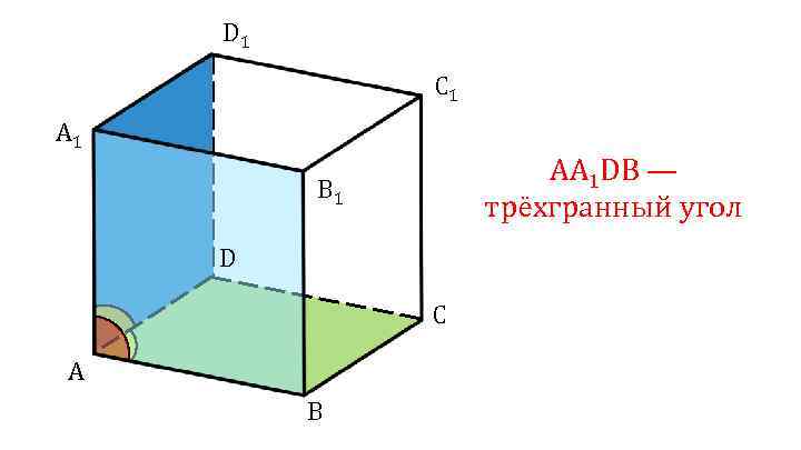 D 1 C 1 AA 1 DB — трёхгранный угол B 1 D C