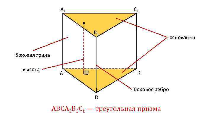 A 1 C 1 B 1 основания боковая грань высота C A боковое ребро