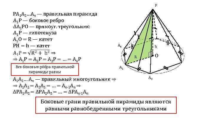 P PA 1 A 2…An — правильная пирамида А 1 Р — боковое ребро