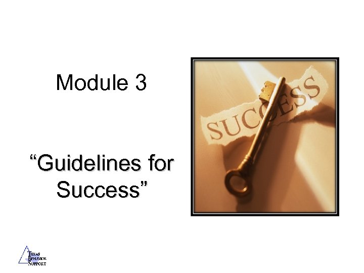 Module 3 “Guidelines for Success” 