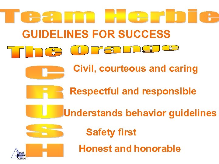 GUIDELINES FOR SUCCESS Civil, courteous and caring Respectful and responsible Understands behavior guidelines Safety