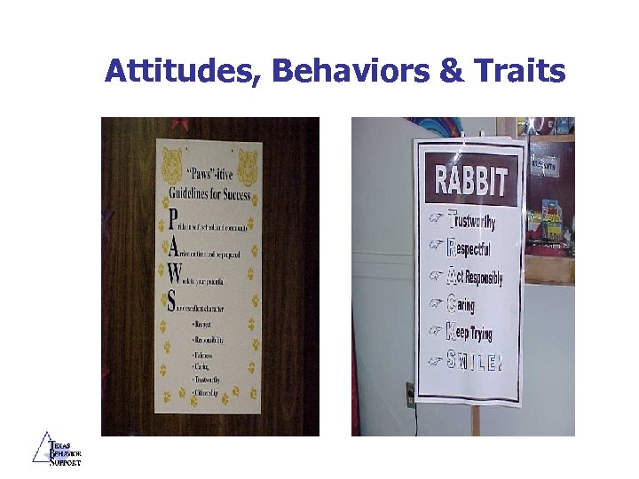 Attitudes, Behaviors & Traits 