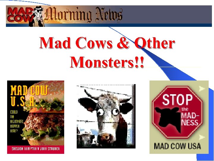 Mad Cows & Other Monsters!! 