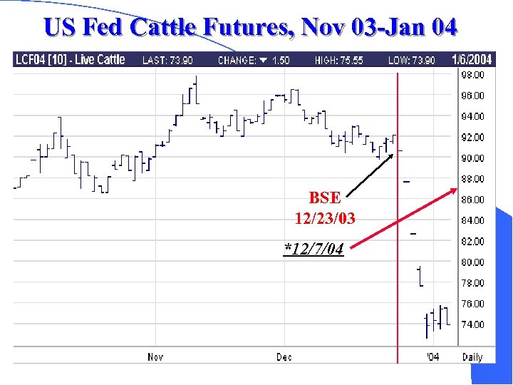 US Fed Cattle Futures, Nov 03 -Jan 04 BSE 12/23/03 *12/7/04 