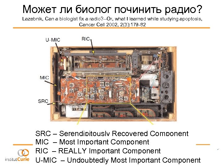 Может ли биолог починить радио? Lazebnik, Can a biologist fix a radio? --Or, what
