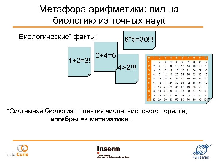 Метафора арифметики: вид на биологию из точных наук “Биологические” факты: 1+2=3! 6*5=30!!! 2+4=6 4>2!!!