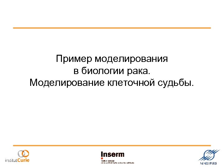 Пример моделирования в биологии рака. Моделирование клеточной судьбы. 