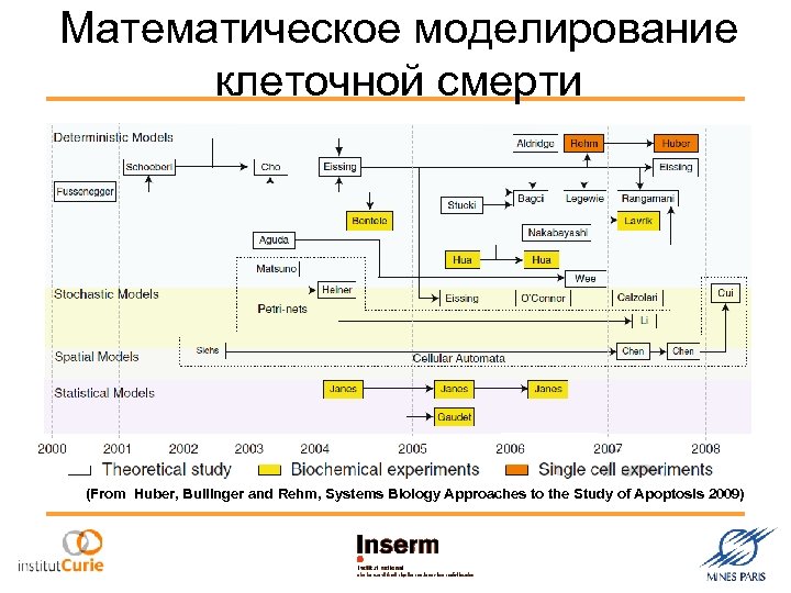 Математическое моделирование клеточной смерти (From Huber, Bullinger and Rehm, Systems Biology Approaches to the