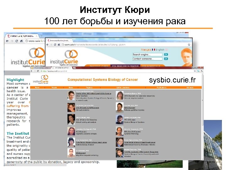 Институт Кюри 100 лет борьбы и изучения рака sysbio. curie. fr 