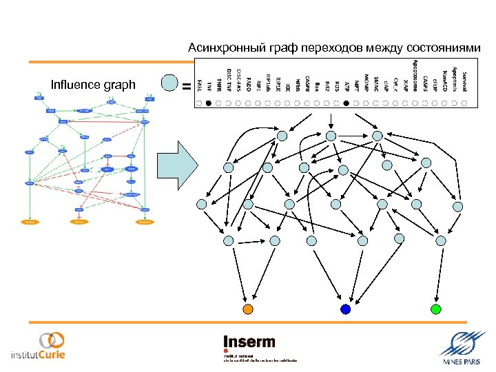 Асинхронный граф переходов между состояниями Influence graph = 