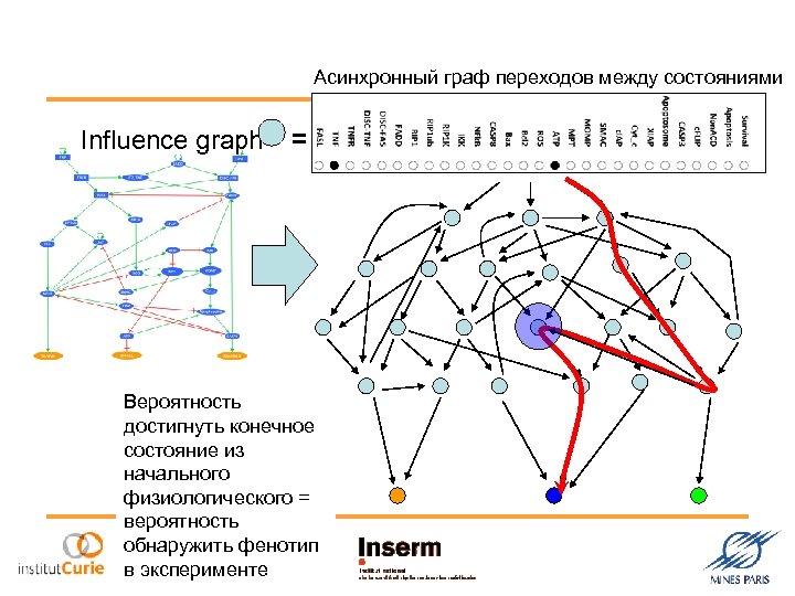 Асинхронный граф переходов между состояниями Influence graph = Вероятность достигнуть конечное состояние из начального