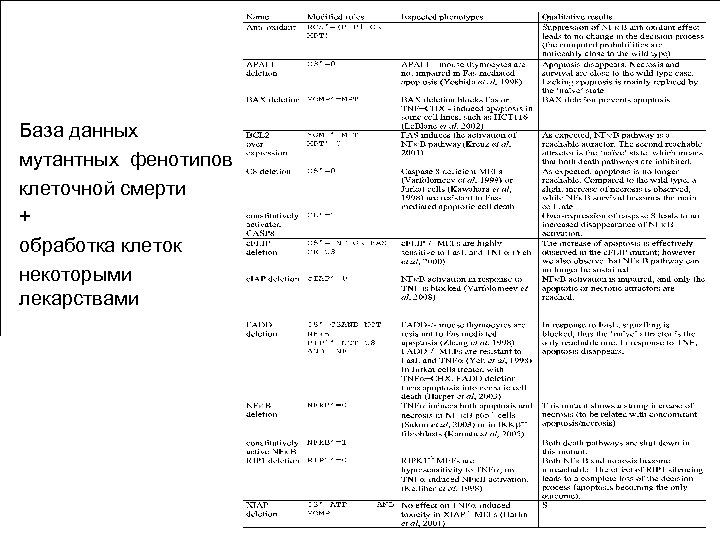 База данных мутантных фенотипов клеточной смерти + обработка клеток некоторыми лекарствами 
