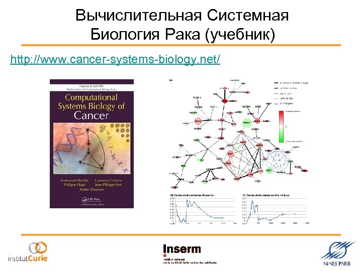 Вычислительная Системная Биология Рака (учебник) http: //www. cancer-systems-biology. net/ 