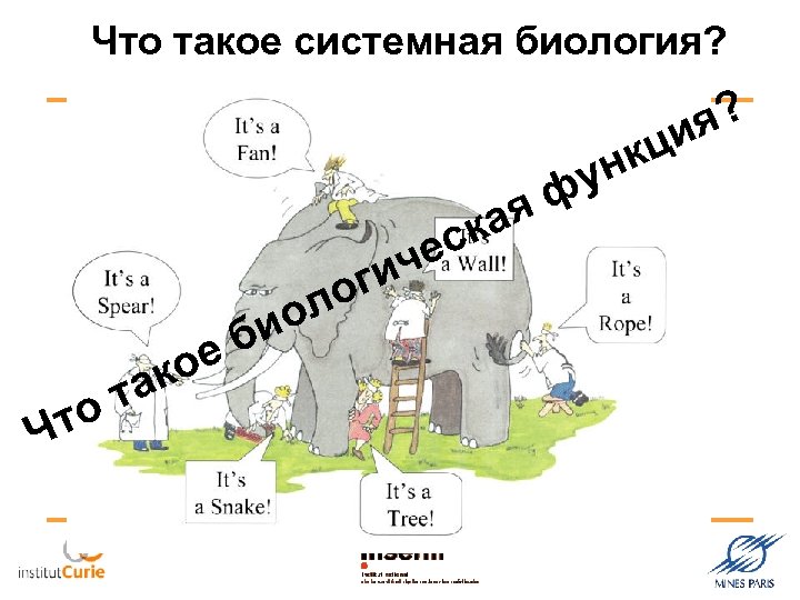 Что такое системная биология? я? ци нк фу я ка ес ич ог л