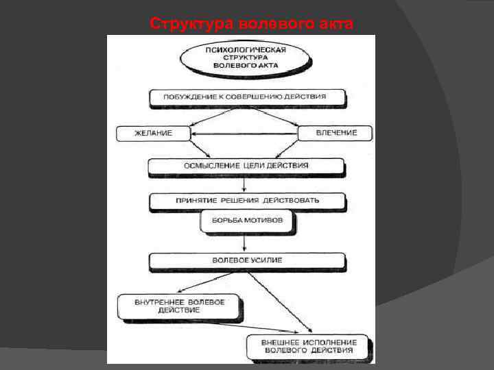 Структура волевого акта 