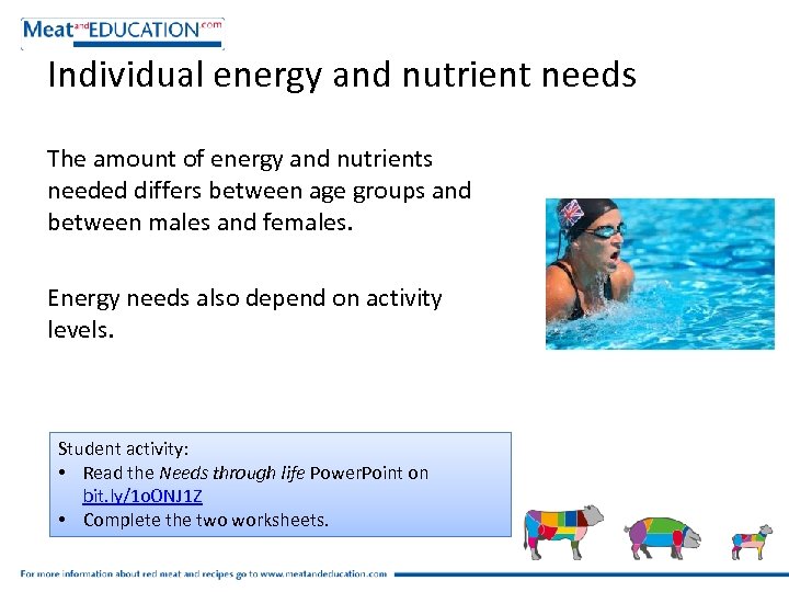 Individual energy and nutrient needs The amount of energy and nutrients needed differs between