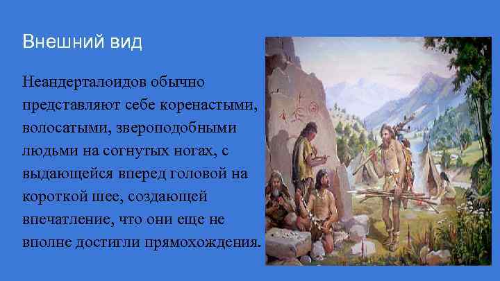 Внешний вид Неандерталоидов обычно представляют себе коренастыми, волосатыми, звероподобными людьми на согнутых ногах, с