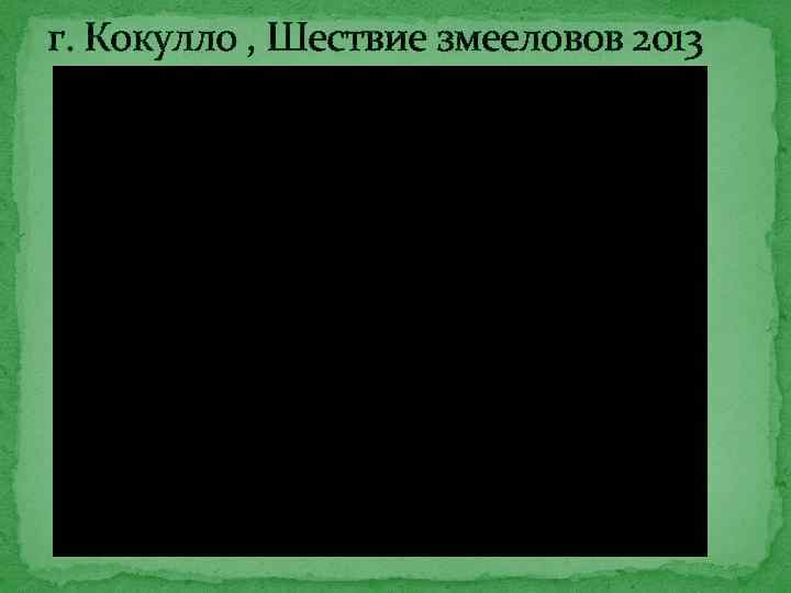 г. Кокулло , Шествие змееловов 2013 
