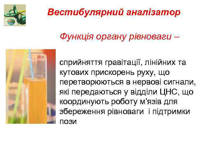 Вестибулярний аналізатор Функція органу рівноваги – сприйняття гравітації, лінійних та кутових прискорень руху, що
