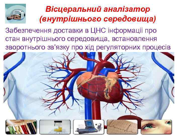 Вісцеральний аналізатор (внутрішнього середовища) Забезпечення доставки в ЦНС інформаціі про стан внутрішнього середовища, встановлення