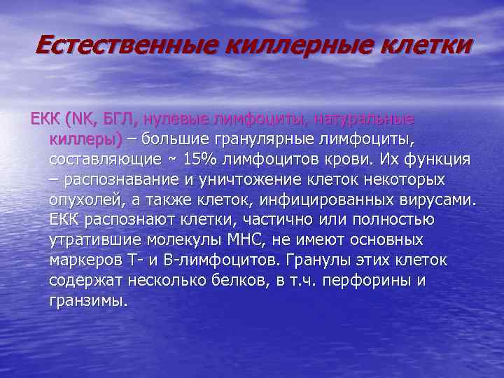 Естественные киллерные клетки ЕКК (NK, БГЛ, нулевые лимфоциты, натуральные киллеры) – большие гранулярные лимфоциты,