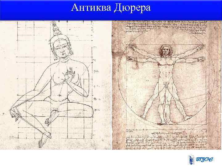 Антиква Дюрера 