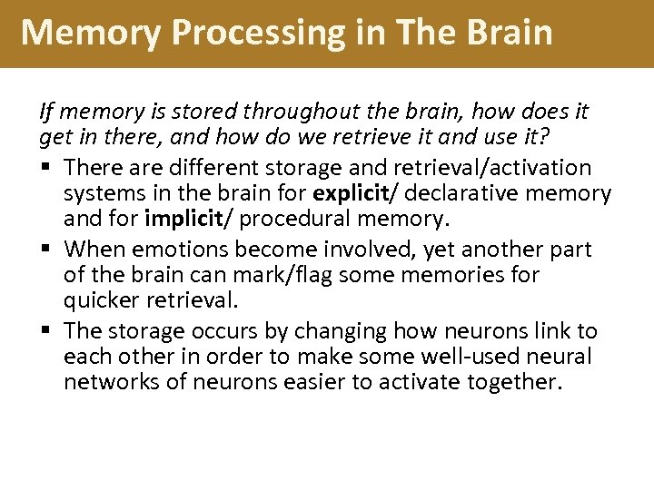 Memory Processing in The Brain If memory is stored throughout the brain, how does
