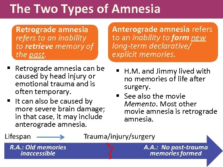 The Two Types of Amnesia Retrograde amnesia refers to an inability to retrieve memory