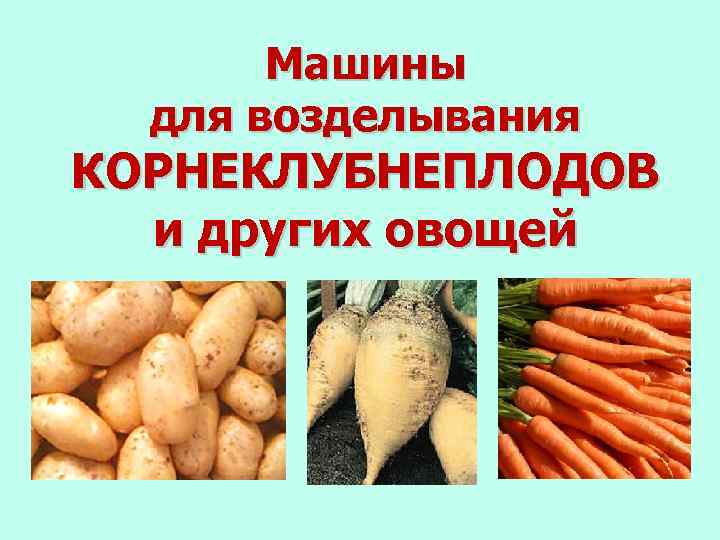 Машины для возделывания КОРНЕКЛУБНЕПЛОДОВ и других овощей 