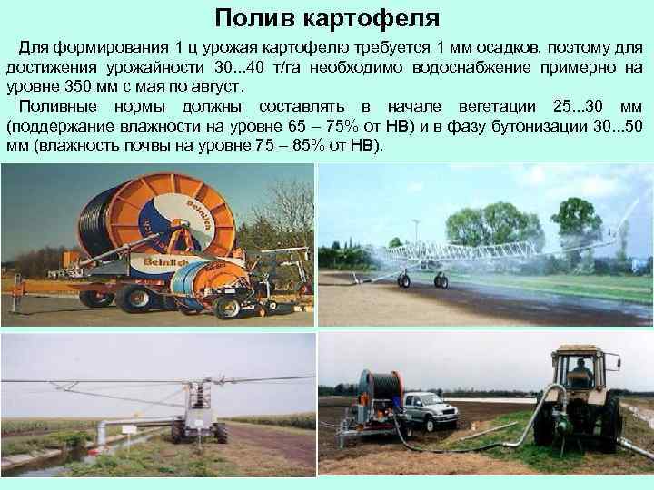 Полив картофеля Для формирования 1 ц урожая картофелю требуется 1 мм осадков, поэтому для