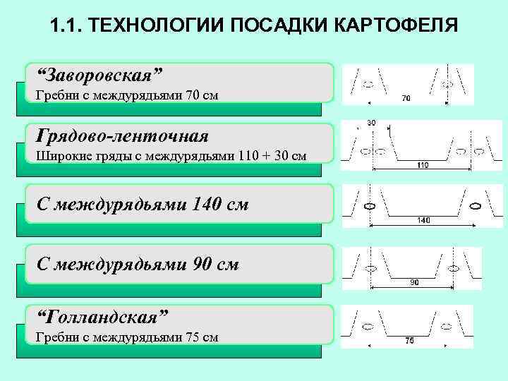 1. 1. ТЕХНОЛОГИИ ПОСАДКИ КАРТОФЕЛЯ “Заворовская” Гребни с междурядьями 70 см Грядово-ленточная Широкие гряды