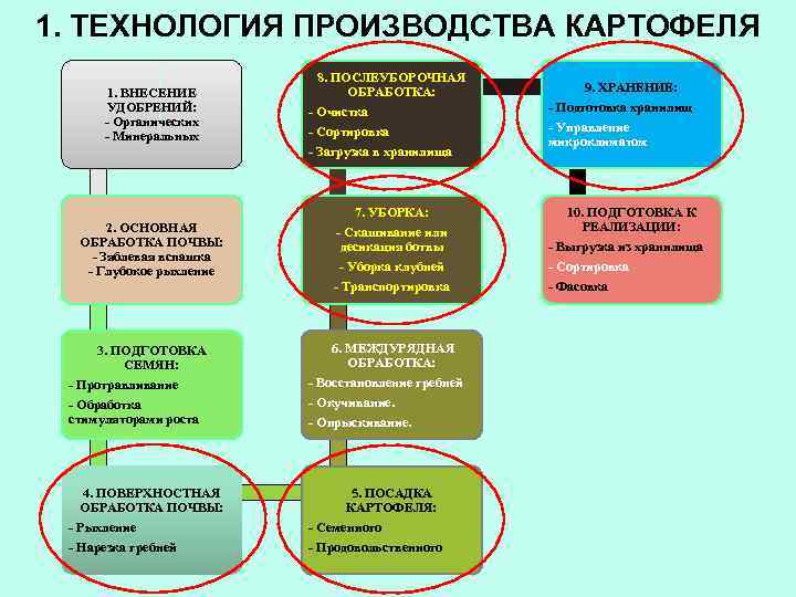 1. ТЕХНОЛОГИЯ ПРОИЗВОДСТВА КАРТОФЕЛЯ 1. ВНЕСЕНИЕ УДОБРЕНИЙ: - Органических - Минеральных 8. ПОСЛЕУБОРОЧНАЯ ОБРАБОТКА: