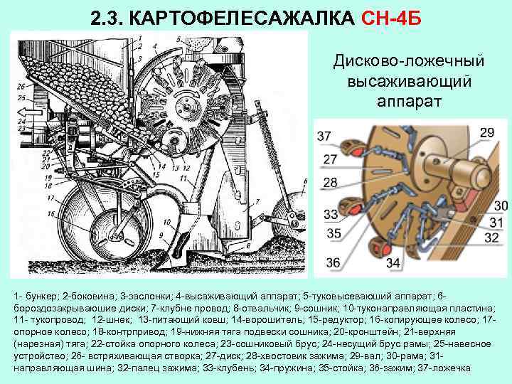 2. 3. КАРТОФЕЛЕСАЖАЛКА СН-4 Б Дисково-ложечный высаживающий аппарат 1 - бункер; 2 -боковина; 3