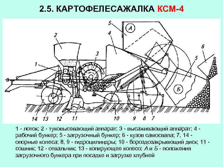 2. 5. КАРТОФЕЛЕСАЖАЛКА КСМ-4 1 - лоток; 2 - туковысевающий аппарат; 3 - высаживающий