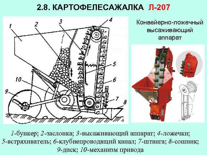 2. 8. КАРТОФЕЛЕСАЖАЛКА Л-207 Конвейерно-ложечный высаживающий аппарат 1 -бункер; 2 -заслонка; 3 -высаживающий аппарат;