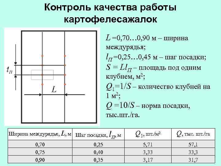 Контроль качества работы картофелесажалок L =0, 70… 0, 90 м – ширина междурядья; l.