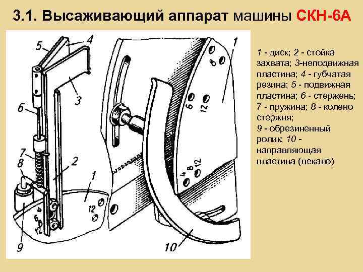 3. 1. Высаживающий аппарат машины СКН-6 А 1 - диск; 2 - стойка захвата;
