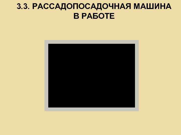 3. 3. РАССАДОПОСАДОЧНАЯ МАШИНА В РАБОТЕ 