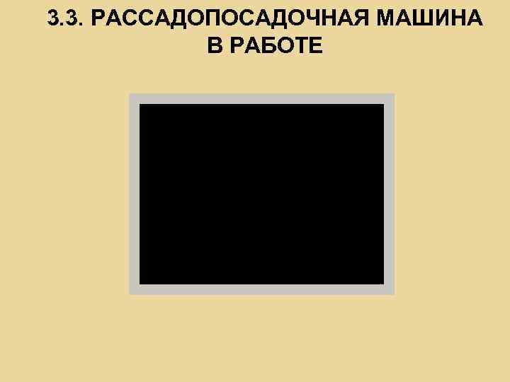 3. 3. РАССАДОПОСАДОЧНАЯ МАШИНА В РАБОТЕ 