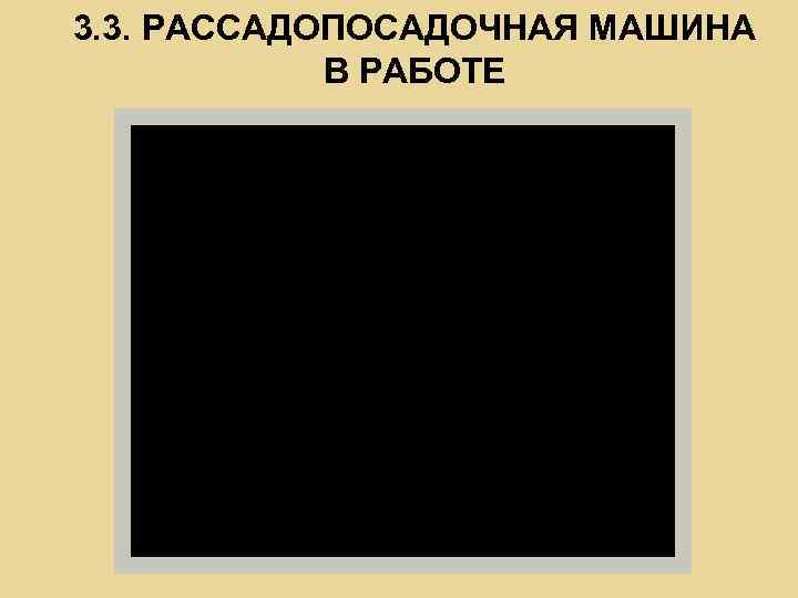 3. 3. РАССАДОПОСАДОЧНАЯ МАШИНА В РАБОТЕ 