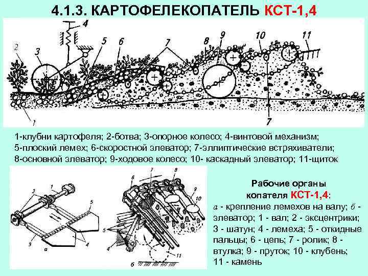 4. 1. 3. КАРТОФЕЛЕКОПАТЕЛЬ КСТ-1, 4 1 -клубни картофеля; 2 -ботва; 3 -опорное колесо;