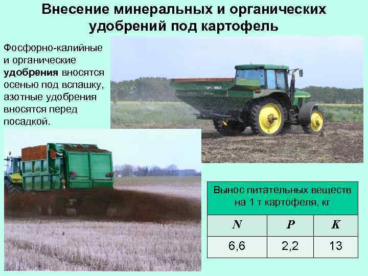 Внесение минеральных и органических удобрений под картофель Фосфорно-калийные и органические удобрения вносятся осенью под