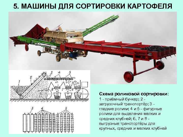 5. МАШИНЫ ДЛЯ СОРТИРОВКИ КАРТОФЕЛЯ Схема роликовой сортировки: 1 - приёмный бункер; 2 загрузочный